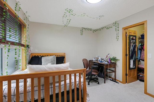 27130 Hickory Ridge Dr, Elko New Market, MN 55020 - bedroom with a spacious closet, carpet, a textured ceiling, and baseboards
