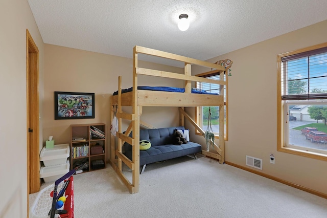 27130 Hickory Ridge Dr, Elko New Market, MN 55020 - bedroom with carpet, visible vents, baseboards, and a textured ceiling