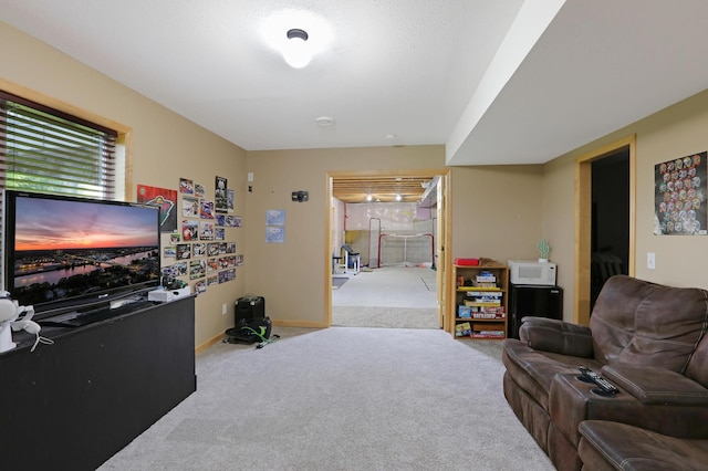 27130 Hickory Ridge Dr, Elko New Market, MN 55020 - living area with carpet flooring and baseboards