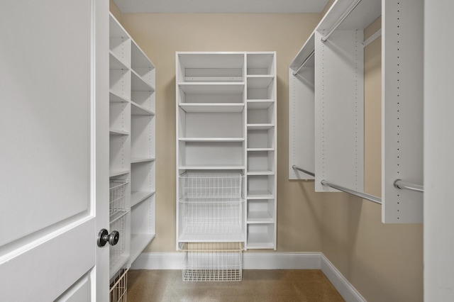 view of spacious closet