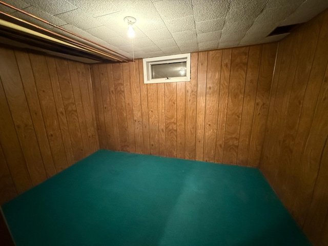 finished basement with wooden walls