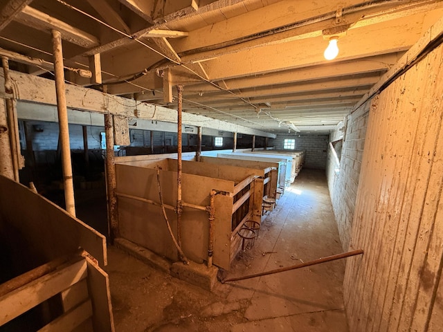 view of horse barn