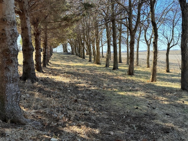 view of nature