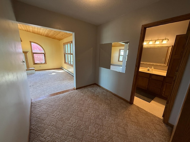 20343 680th Ave, Alden, MN 56009 - hall featuring carpet flooring, healthy amount of natural light, lofted ceiling, and a baseboard radiator
