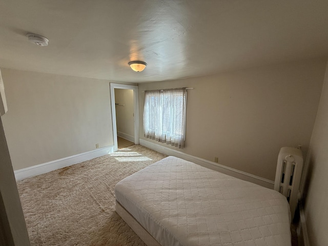 20343 680th Ave, Alden, MN 56009 - bedroom featuring light colored carpet and radiator heating unit