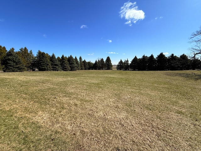 20343 680th Ave, Alden, MN 56009 - view of woods