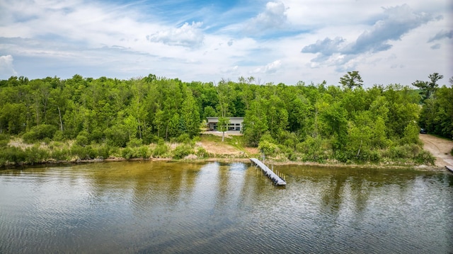 4681 Mission Rd NE, Sugar Bush Twp, MN 56601 - water view featuring a heavily wooded area