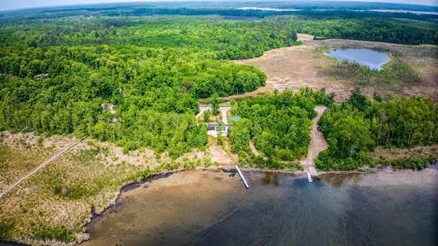 4681 Mission Rd NE, Sugar Bush Twp, MN 56601 - aerial view of a forest and a large body of water