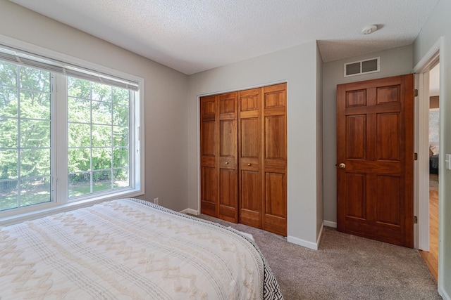 bedroom featuring multiple windows, a closet, carpet flooring, baseboards, and a textured ceiling