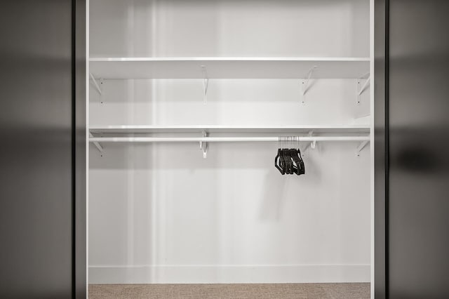 view of closet
