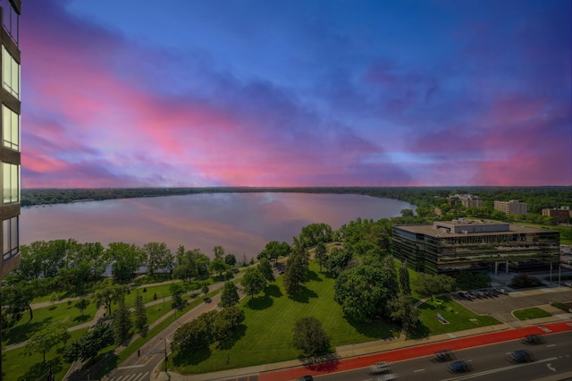2950 Dean Pkwy Unit 2005, Minneapolis, MN 55416 - bird's eye view of a nearby body of water
