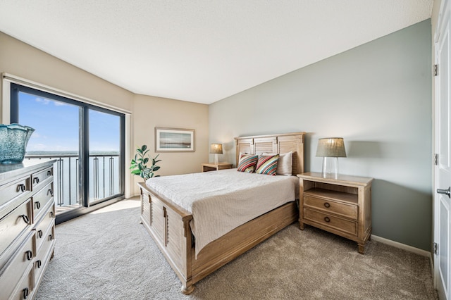 2950 Dean Pkwy Unit 2005, Minneapolis, MN 55416 - bedroom featuring light colored carpet, access to exterior, and baseboards