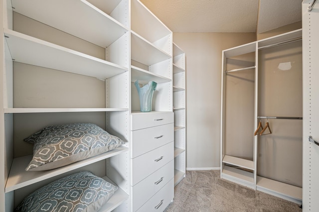 2950 Dean Pkwy Unit 2005, Minneapolis, MN 55416 - walk in closet featuring carpet flooring