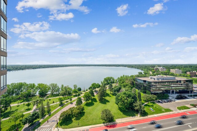 2950 Dean Pkwy Unit 2005, Minneapolis, MN 55416 - drone / aerial view of a large body of water