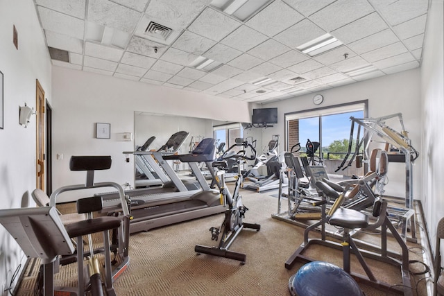2950 Dean Pkwy Unit 2005, Minneapolis, MN 55416 - exercise room with a drop ceiling and carpet flooring