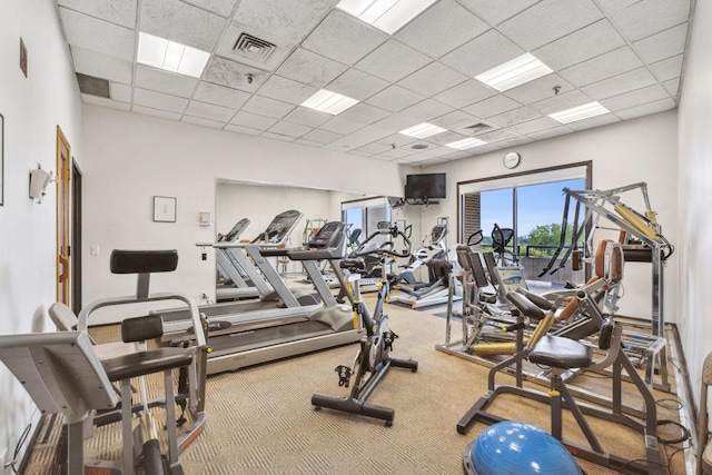 2950 Dean Pkwy Unit 2005, Minneapolis, MN 55416 - workout area with a paneled ceiling and carpet
