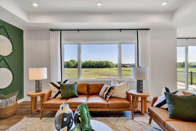 living room with baseboards, wood finished floors, recessed lighting, and a tray ceiling