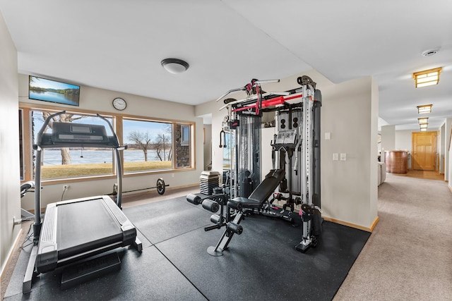 2625 Woodbridge Rd, Minnetonka Beach, MN 55391 - exercise area with baseboards