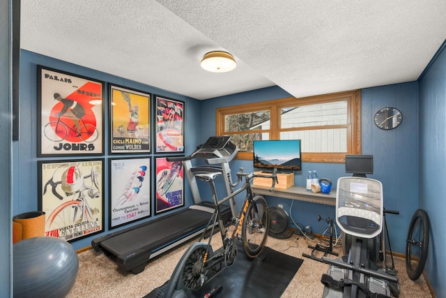 workout area with baseboards, carpet, and a textured ceiling