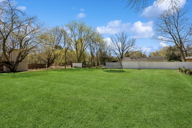 view of yard featuring an outbuilding, a fenced backyard, a trampoline, and a storage unit