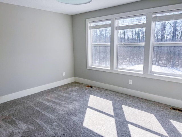 13357 Two Mile Rd, Brainerd, MN 56401 - empty room with carpet floors and baseboards