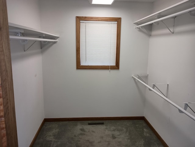 spacious closet featuring visible vents and carpet