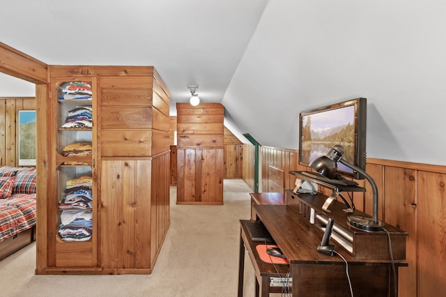 3021 Atwater St, Hopkins, MN 55305 - additional living space featuring wood walls, carpet flooring, vaulted ceiling, and a wainscoted wall