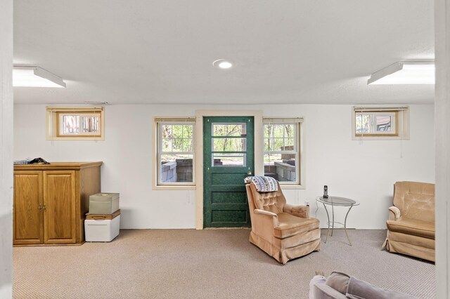 3021 Atwater St, Hopkins, MN 55305 - sitting room with carpet flooring
