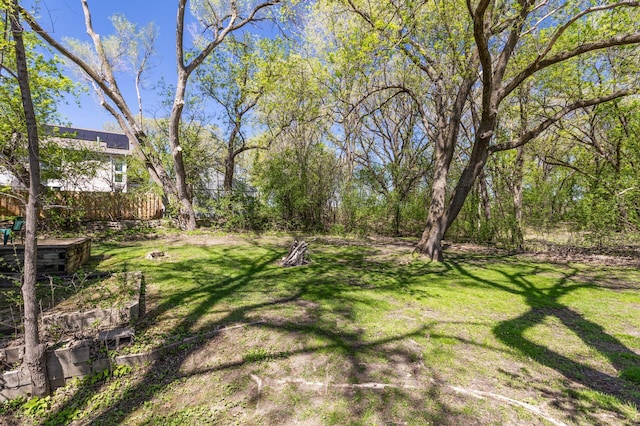 3021 Atwater St, Hopkins, MN 55305 - view of green lawn