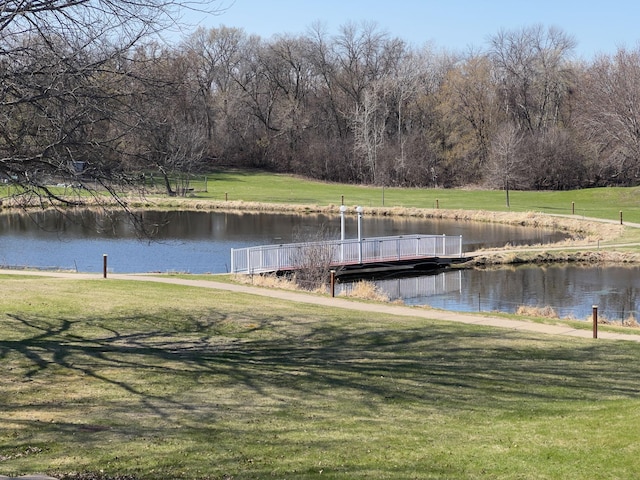 10720 Rockford Rd Unit 215, Plymouth, MN 55442 - view of property's community with a water view, a yard, and a floating dock