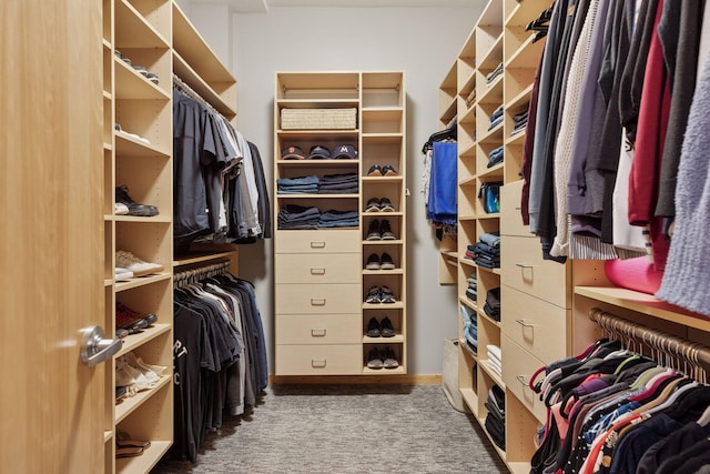 spacious closet featuring carpet