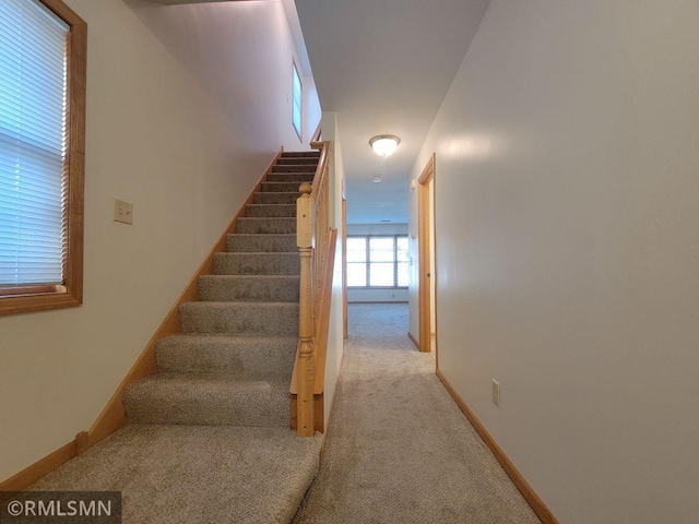 staircase with baseboards and carpet