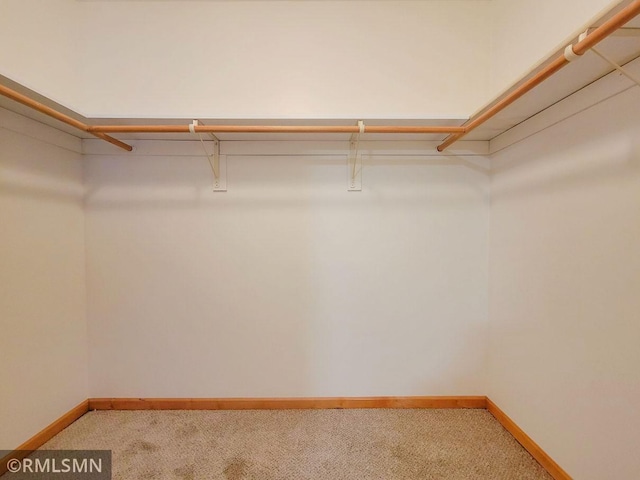 walk in closet with light colored carpet