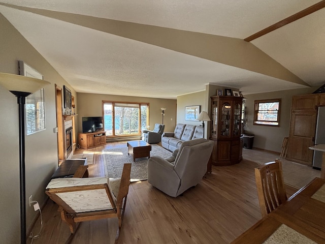 26837 Lake Ethel Rd, Girard Twp, MN 56515 - living room with baseboards, vaulted ceiling, wood finished floors, and a baseboard radiator