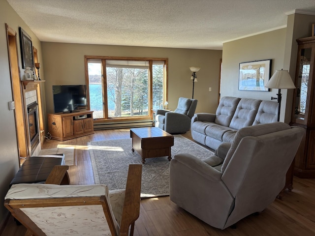 26837 Lake Ethel Rd, Girard Twp, MN 56515 - living room featuring plenty of natural light, a textured ceiling, a glass covered fireplace, and wood finished floors