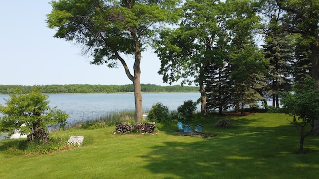 26837 Lake Ethel Rd, Girard Twp, MN 56515 - water view