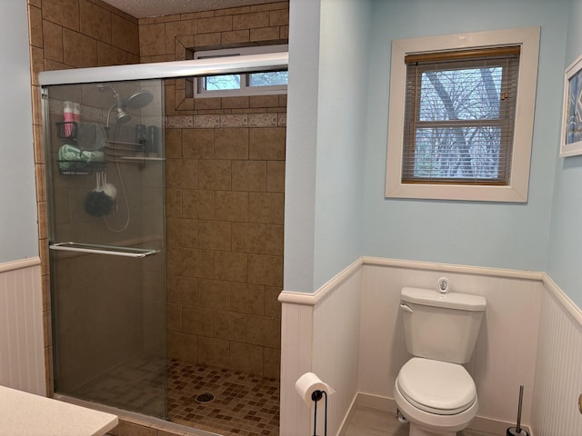 26837 Lake Ethel Rd, Girard Twp, MN 56515 - bathroom featuring wainscoting, toilet, and a shower stall