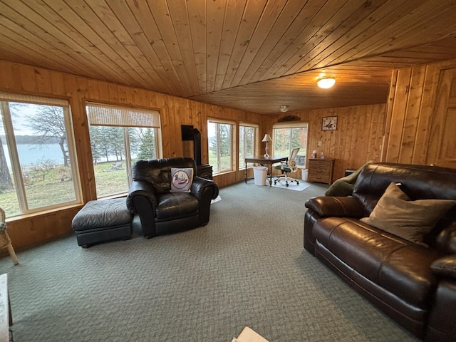 26837 Lake Ethel Rd, Girard Twp, MN 56515 - living area with wooden ceiling, carpet flooring, plenty of natural light, and wood walls