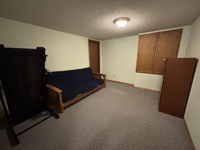 26837 Lake Ethel Rd, Girard Twp, MN 56515 - sitting room featuring carpet floors and a textured ceiling