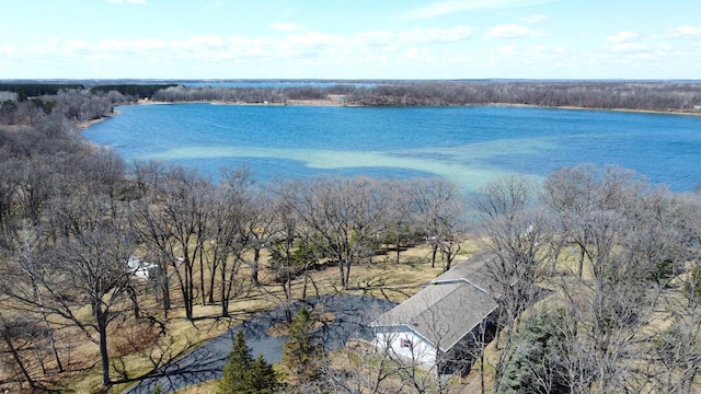 26837 Lake Ethel Rd, Girard Twp, MN 56515 - water view
