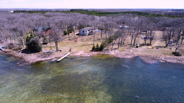 26837 Lake Ethel Rd, Girard Twp, MN 56515 - bird's eye view of a forest and a nearby body of water