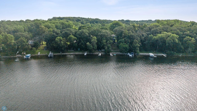 15924 Blackhawk Rd, Lake Park, MN 56554 - photo 52