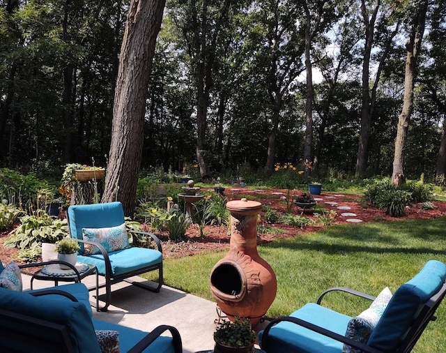 4405 17th Ave NW, Sauk Rapids, MN 56379 - view of patio