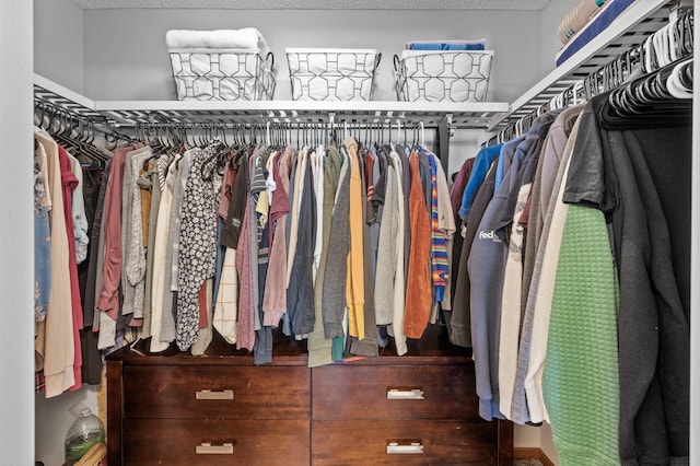 view of walk in closet