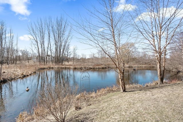 view of water feature
