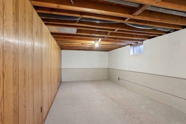 11749 Crooked Lake Blvd NW, Coon Rapids, MN 55433 - below grade area featuring wood walls and carpet flooring