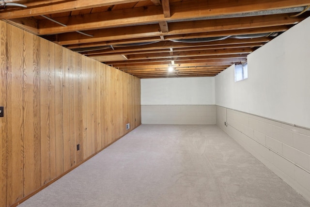 11749 Crooked Lake Blvd NW, Coon Rapids, MN 55433 - basement featuring wooden walls and carpet floors