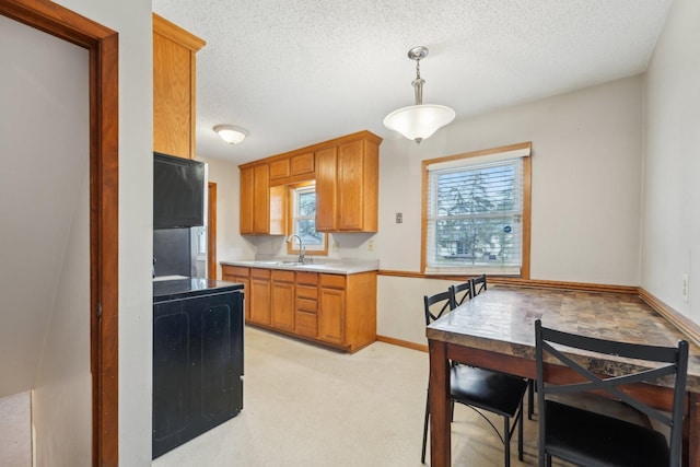 11749 Crooked Lake Blvd NW, Coon Rapids, MN 55433 - kitchen featuring brown cabinetry, hanging light fixtures, plenty of natural light, and a sink