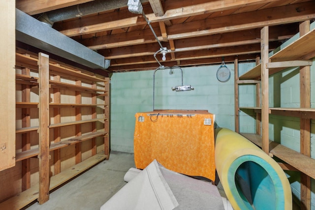11749 Crooked Lake Blvd NW, Coon Rapids, MN 55433 - unfinished basement featuring concrete block wall