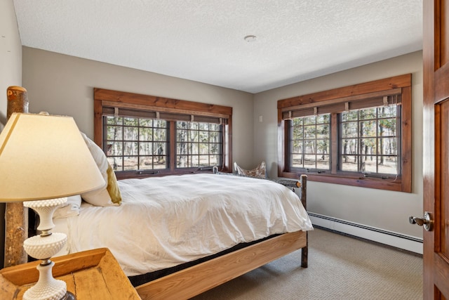8434 Big Whitefish Narrows, Pine River, MN 56474 - bedroom with carpet floors, a textured ceiling, multiple windows, and baseboard heating